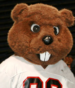 Bucky the Beaver  Mascot Hall of Fame