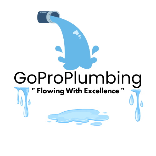 Go Pro Plumbing