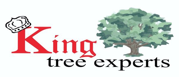 King Tree Experts