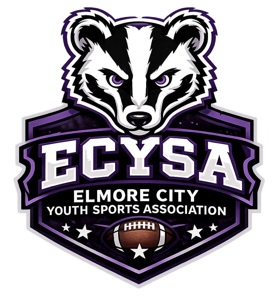  ECYSA
