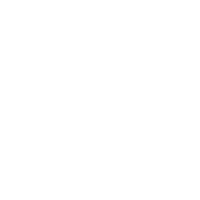  Lady Mustangs Varsity