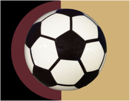  Rouse High School Soccer