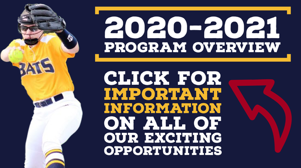 academy softball bats