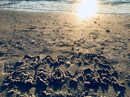  #3 GROVER/MARCUS (Neon Green)