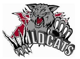  BRONX WILDCATS