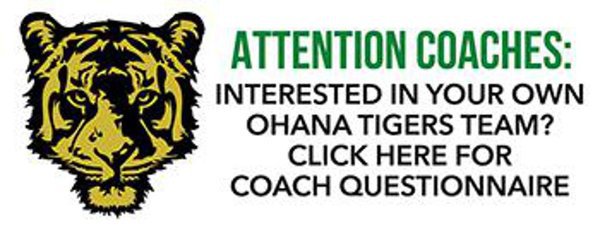 Coaches questionnaire 