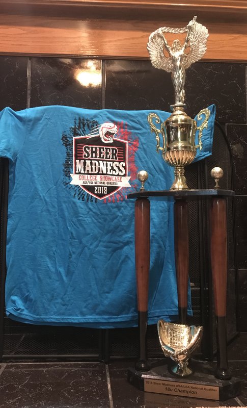 2019 Sheer Madness 18U Champs