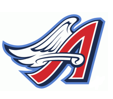 ACES