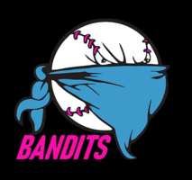 BANDITS BANDITS