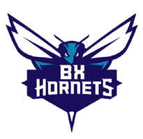  B X HORNETS