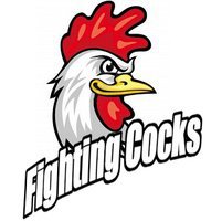  FIGHTING COCKS