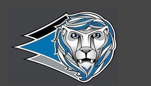  LOS LEONES