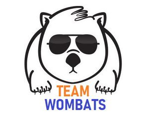 TEAM WOMBATS