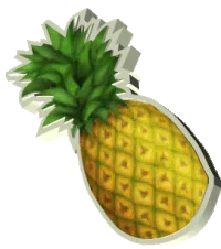 Kona Big Wave Swingers