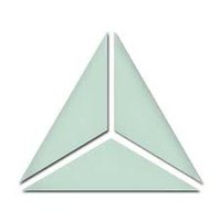  TRIUMVIRATE ENVIRONMENTAL